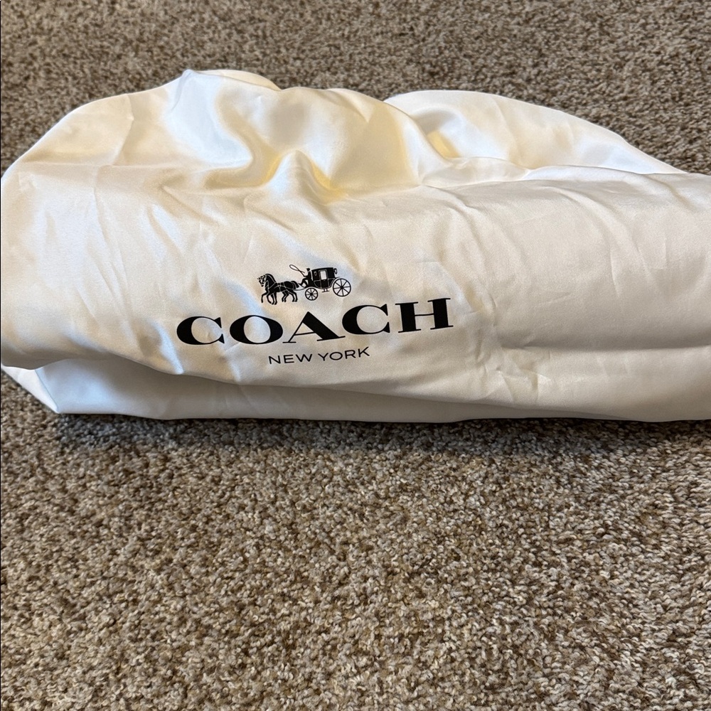 COACH BROOKLYN 39 SUEDE BAG - Picture 9 of 10